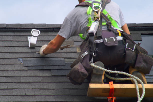 Professional Roofing service in Warren, IL